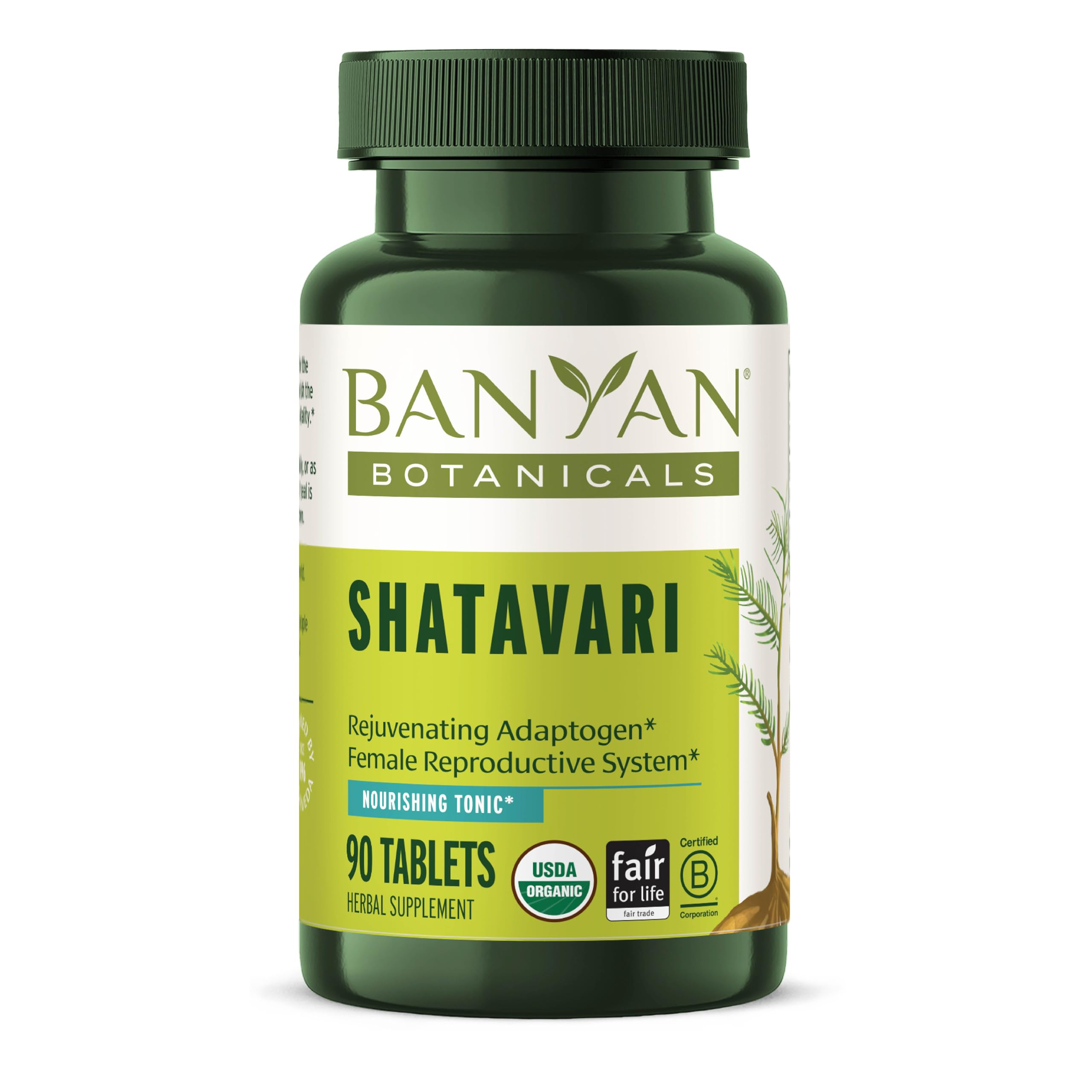 Banyan Botanicals Organic Shatavari Tablets – Rejuvenating Tonic for Feminine Vitality & Reproductive Health – Cooling Adaptogen for Internal Balance & Stress Support – 90 Tablets – USDA Organic
