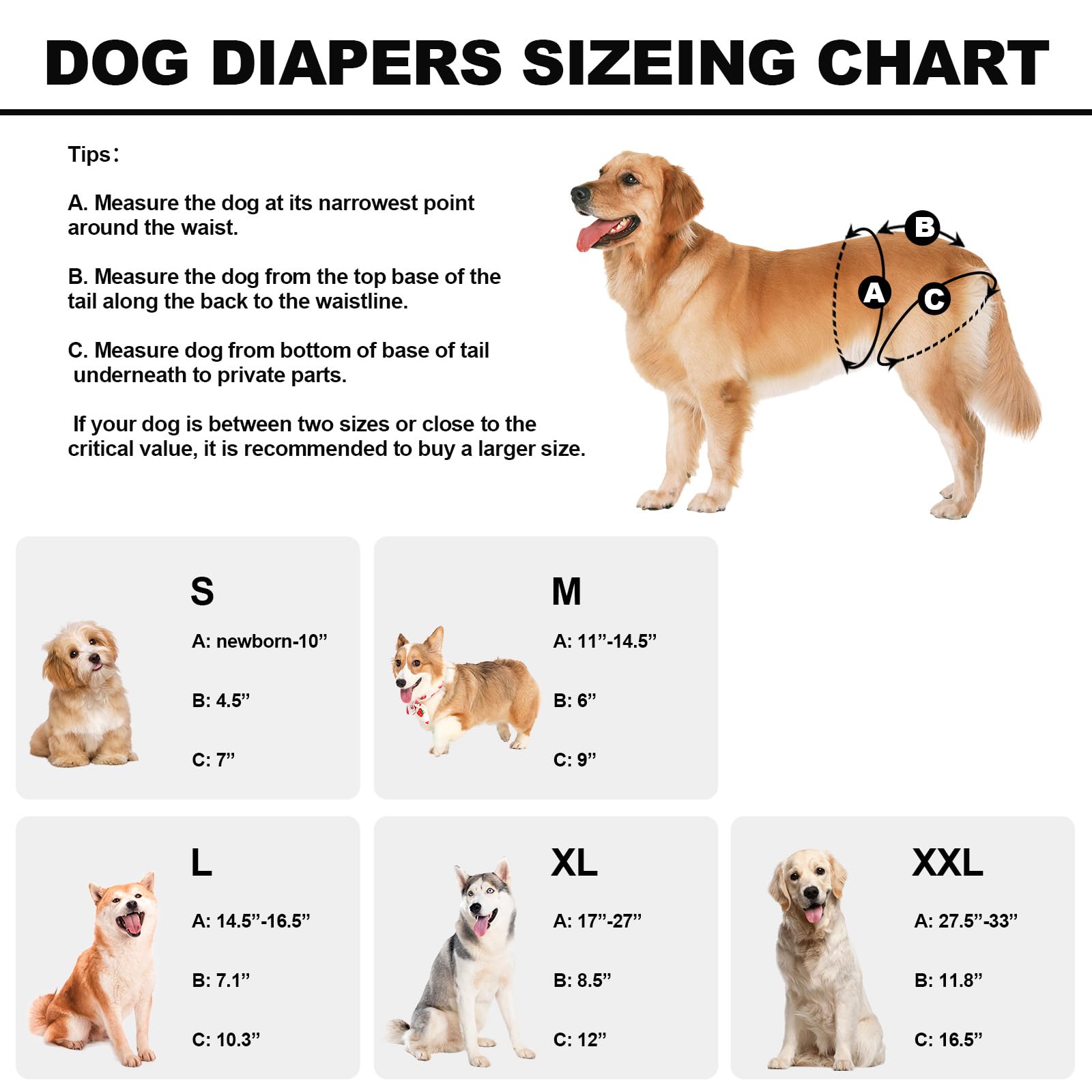 Reusable Dog Diapers Female Medium Washable, Premium Doggie Diaper for Dogs Pack of 3 - Image 3