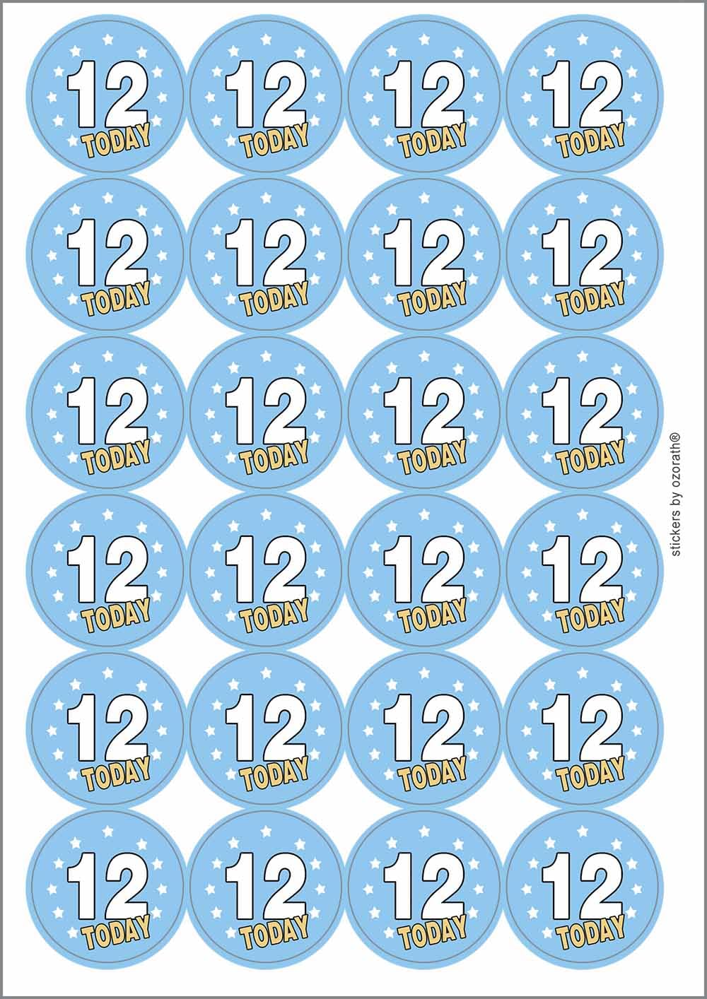 12 Twelve Twelfth 12th Birthday Today Circular Matt Paper Stickers A4 Sheet of 24 (Each Sticker is 45mm Diameter)