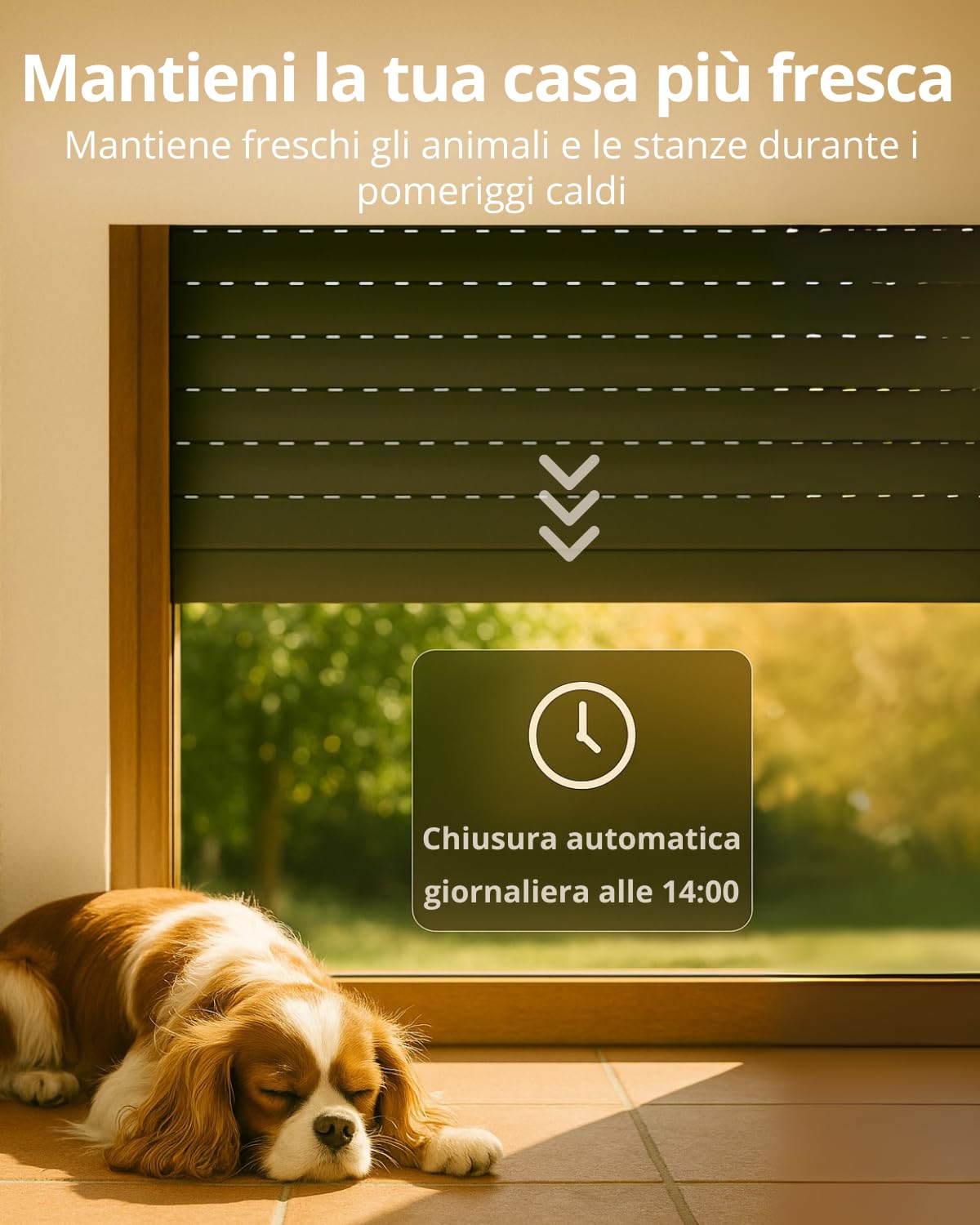 LoraTap Interruttore Tapparelle WiFi 2 Pezzi: Apertura 0–100% con App | Apertura precisa senza arresto manuale – Timer – Controllo vocale – Senza hub – Interruttore mantenuto – AC 4 fili 300W