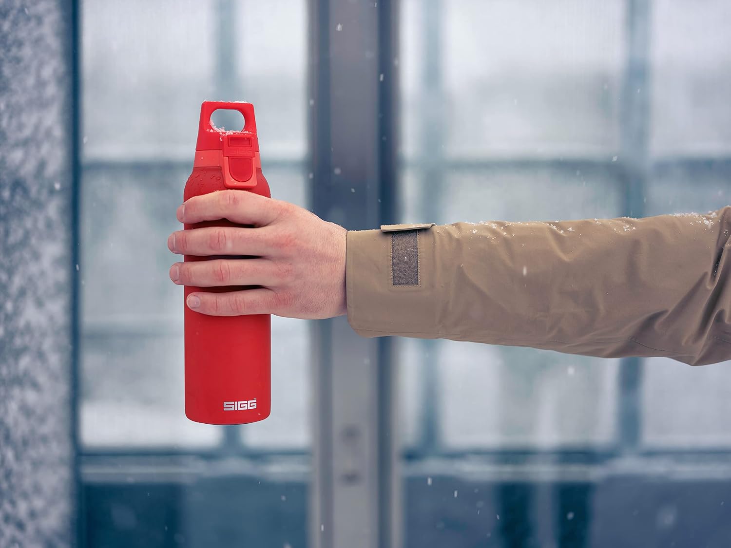 SIGG - Insulated Flask - Thermo Hot & Cold ONE Light - Fruit Filter- BPA-Free - Stainless Steel - 19 Oz