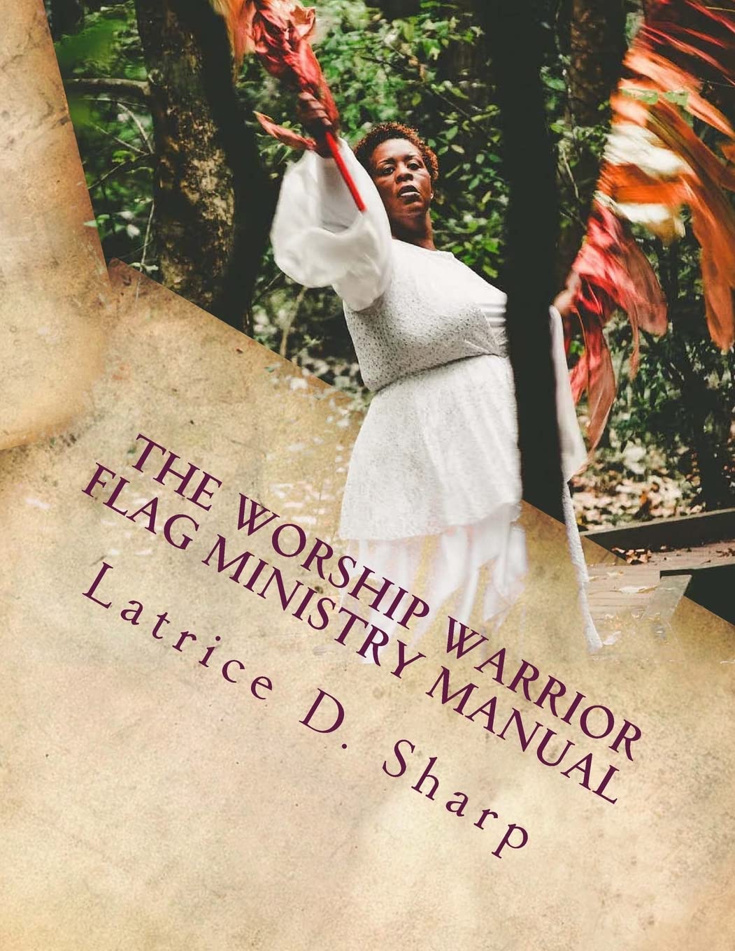 The Worship Warrior: Flag Ministry Training Manual