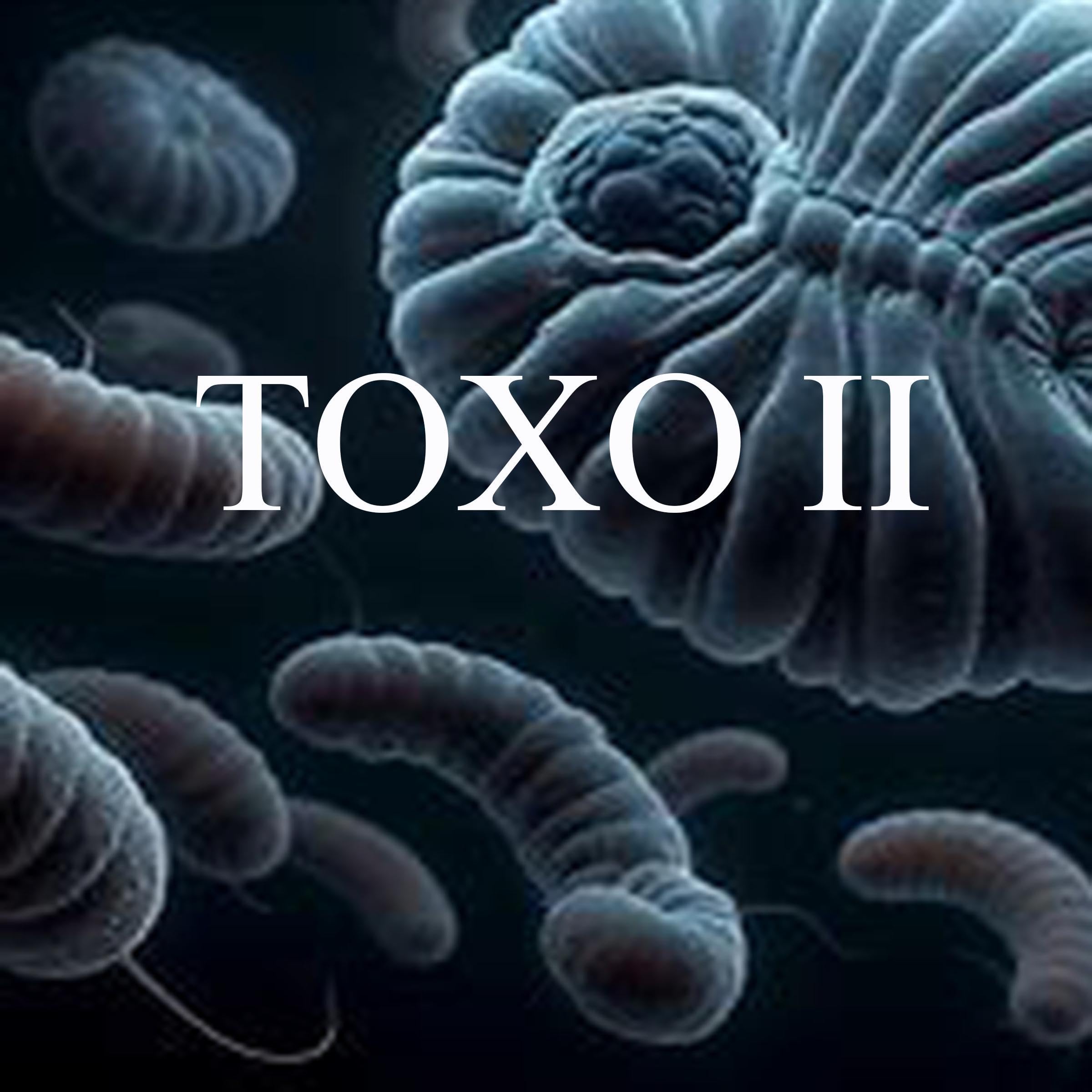 Cover art for TOXO II