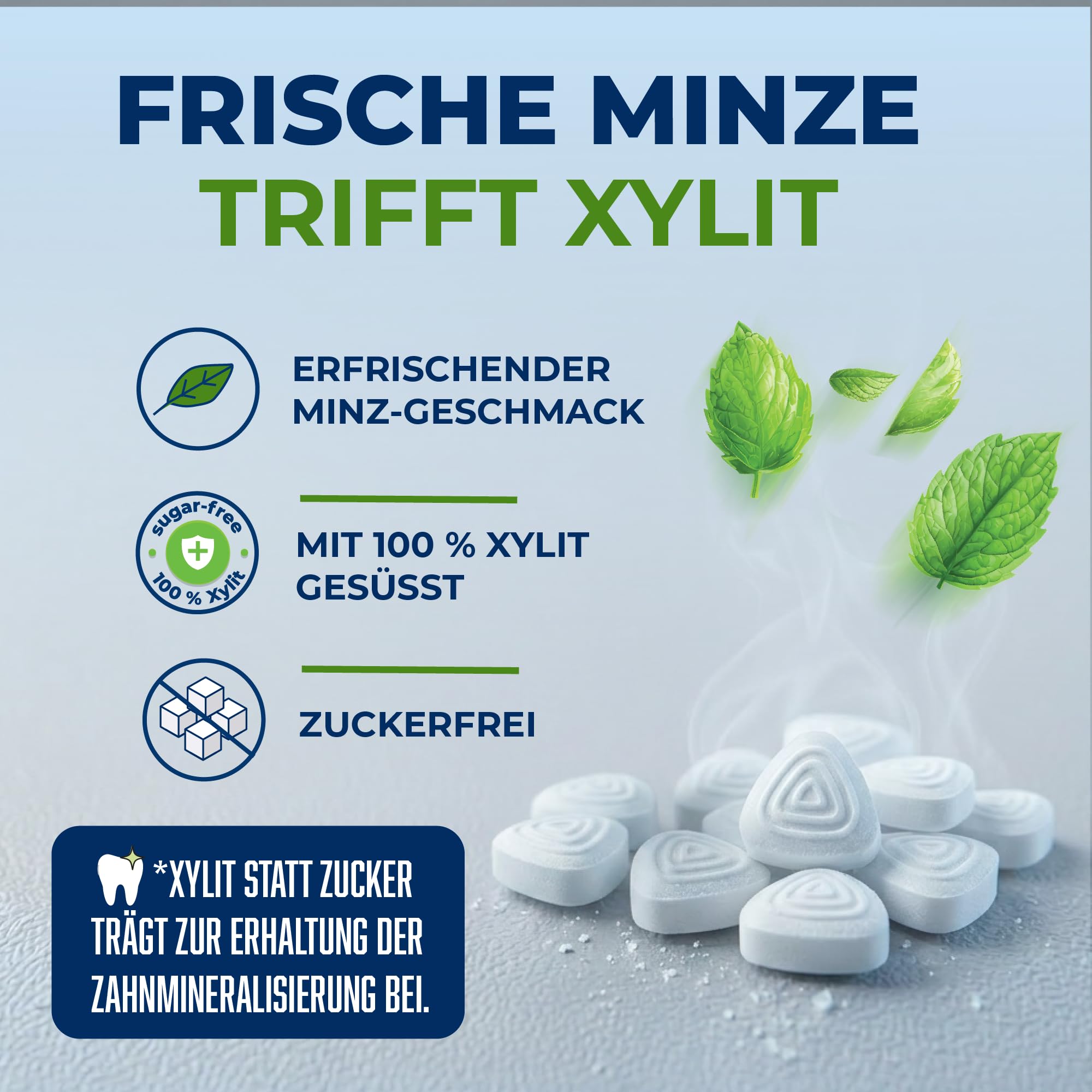 Xylit Bonbon Sauberer Atem mit Frischer Minze - 600 Xylit Bonbons - Keine Chance für Karies: zuckerfrei für angenehmen Atem - vegan & ohne Aspartam - 6 Dosen
