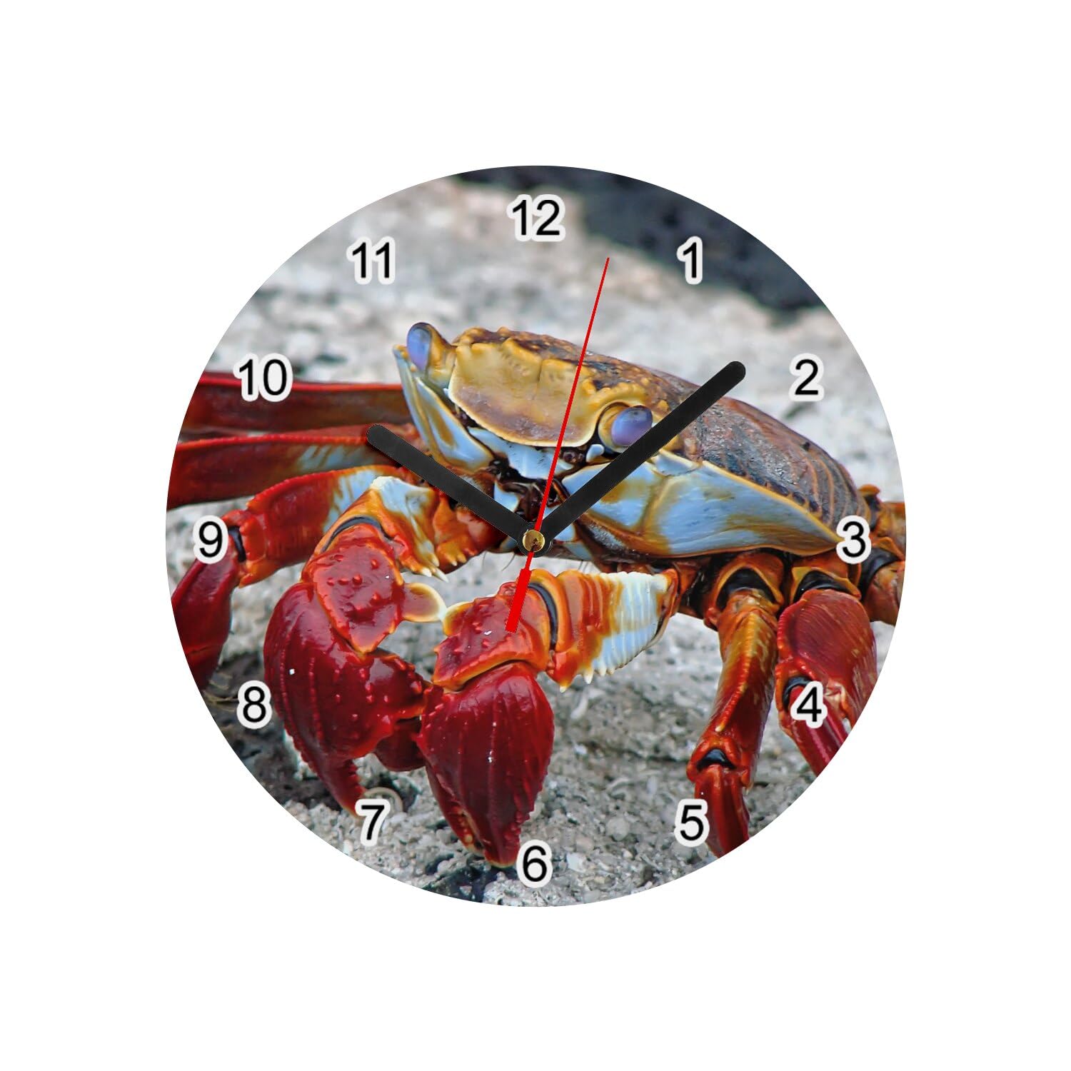 Horloge murale en verre design crabe rouge et plage de mer diametre 20 cm