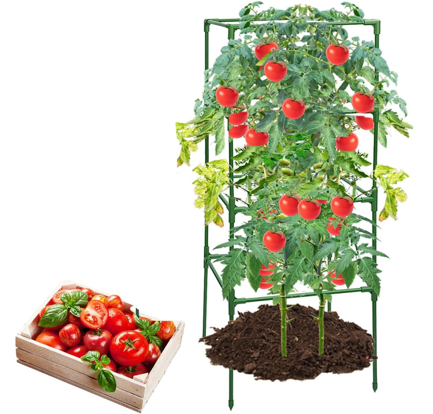 Tutores de Acero Plastificado para Plantas Alto 122cm Ø 11 mm | Varillas Crecimiento Plantas | Soporte Cultivos Apto Interior y Exterior (1)