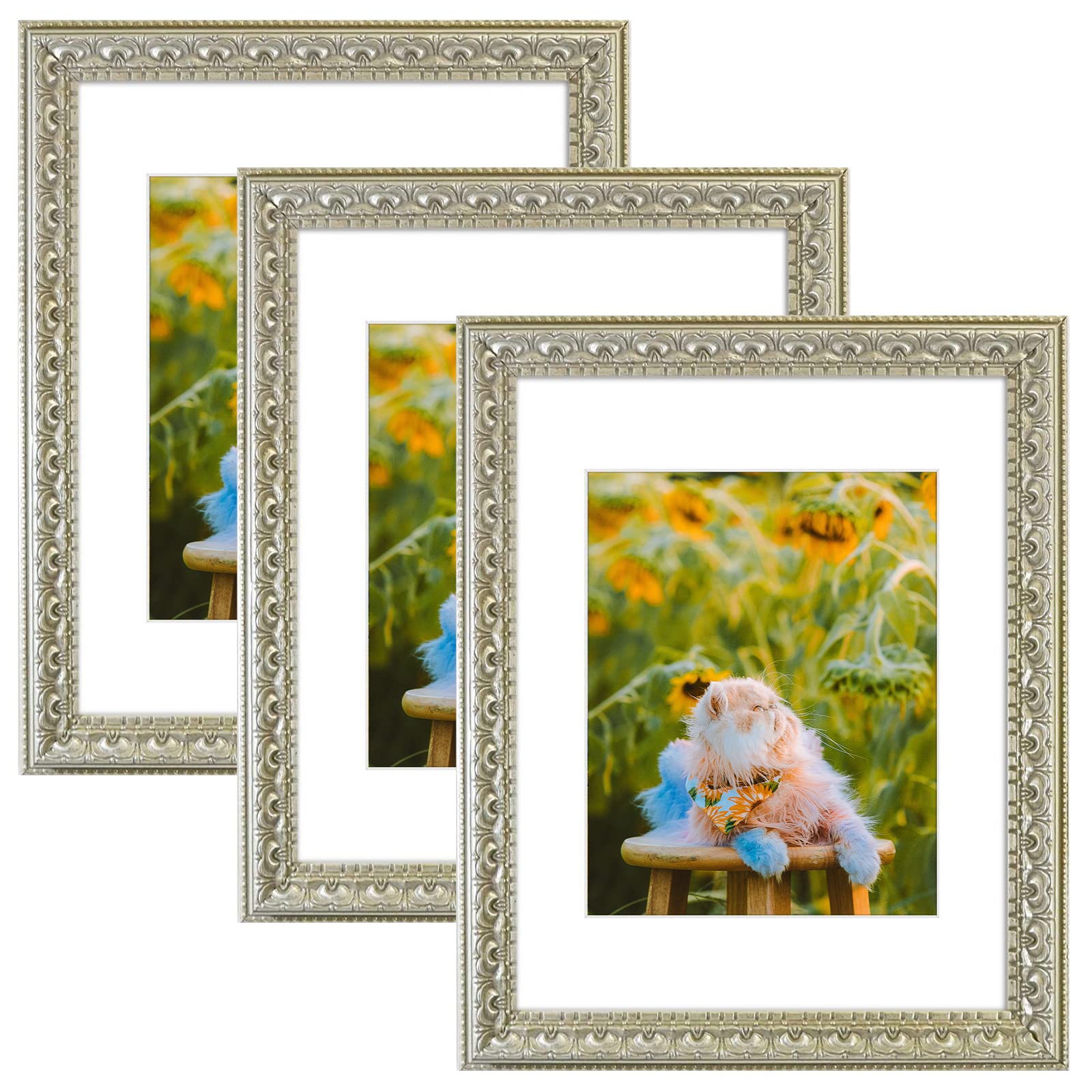 Golden State Art, 11x14 Photo Frame with Mat for Pictures 8x10 and Real