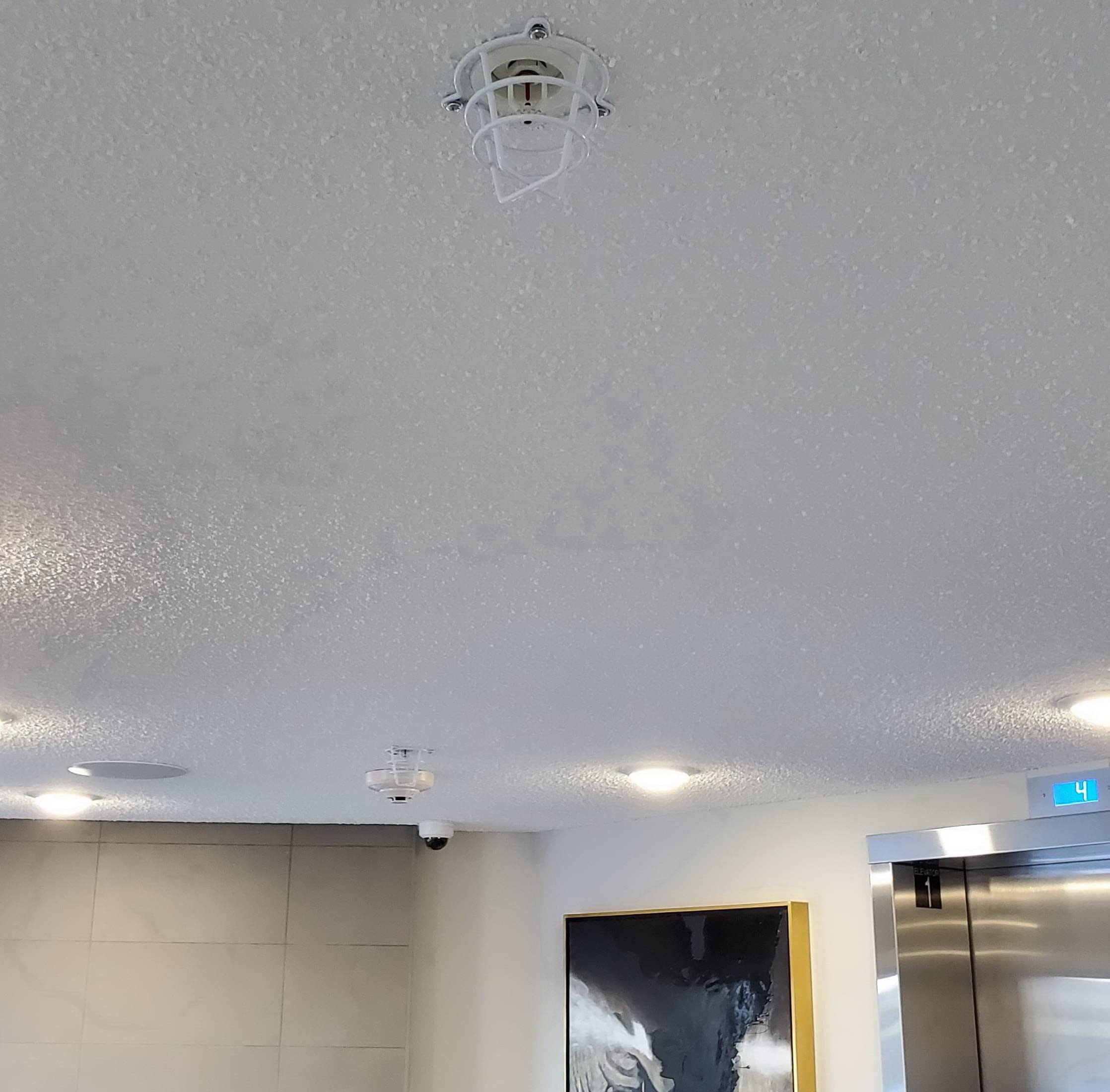 Happy Tree (2 Pack) White Fire Sprinkler Head Guard Cover for Both 1/2" & 3/4" Fire Head for Protecting Flush Mount & Side Wall & Pendent Head Semi - Recessed Sprinkler Head Cage