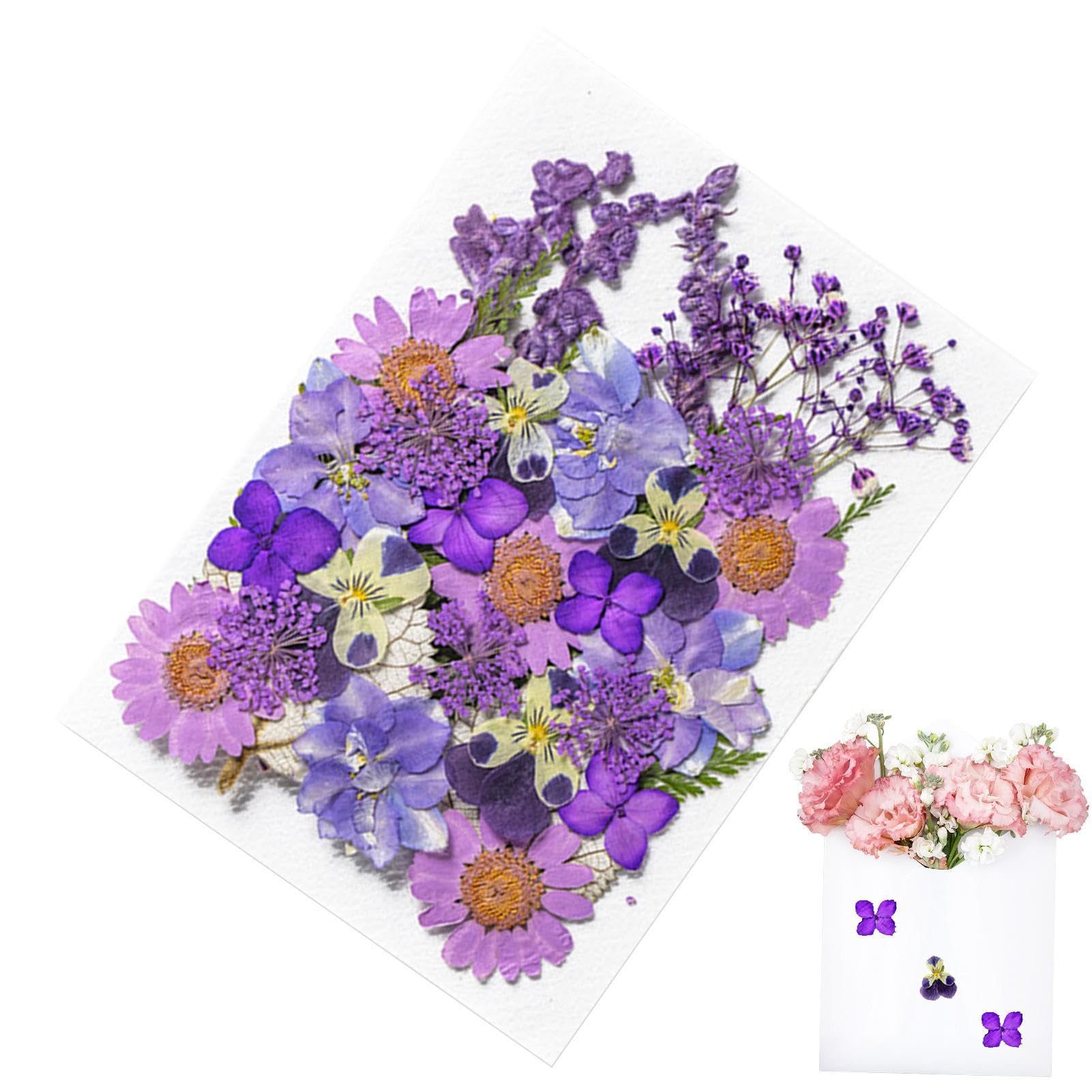 Amazon | ドライフラワー 枯れない花 35枚入り 押し花 実物撮影 乾燥  
