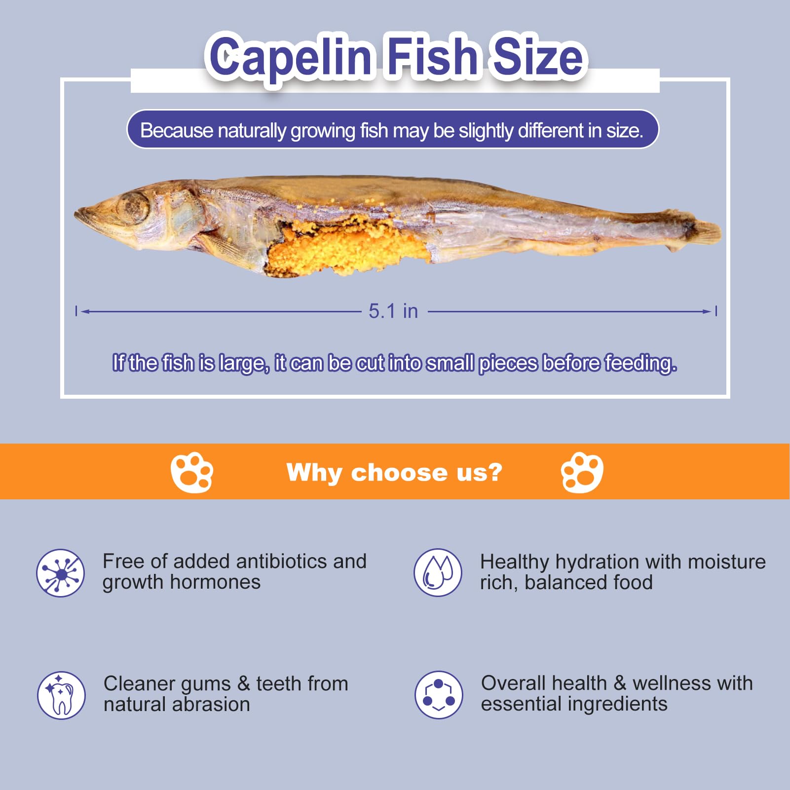 Freeze Dried Capelin Training Treats for Dogs & Cats – Single Ingredient, High Protein Snacks, Rich in Omega-3 for Skin Coat Health, Grain Free (3oz)