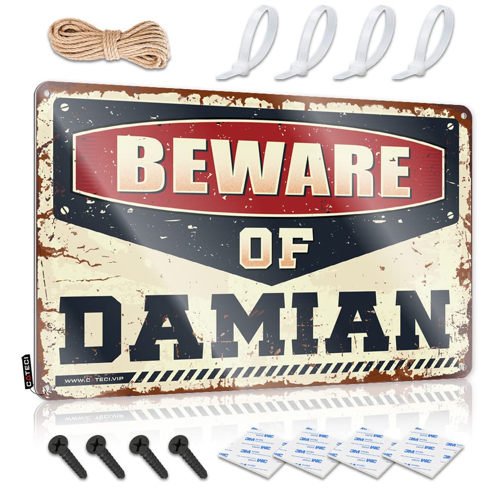 Funny Office Signs Beware Of Damian Tin Sign Funny Signs Billiard Vintage Metal Signs Funny(20X30CM)
