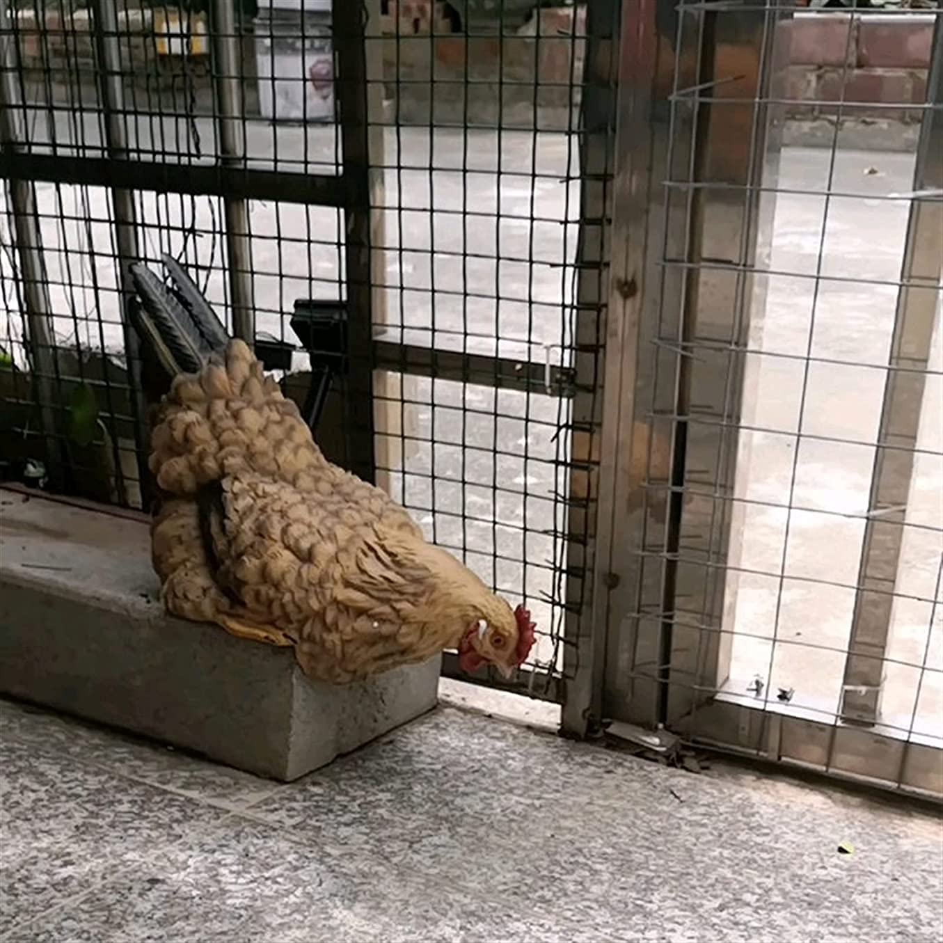 28 cm posągi ogrodowe z żywicy, kogut, rzeźba kurczaka, zwierzęta gospodarskie, figurki grafiki na zewnątrz, patio, podwórko, dekoracja trawnika
