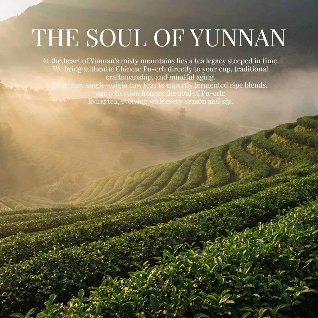 Thé Pu-erh Cru Du Yunnan | Gâteau De Thé Vert Au Jasmin | De Qualité A, Thé Floral Pressé Parfumé | Boisson Naturelle Saine (100g * 5)