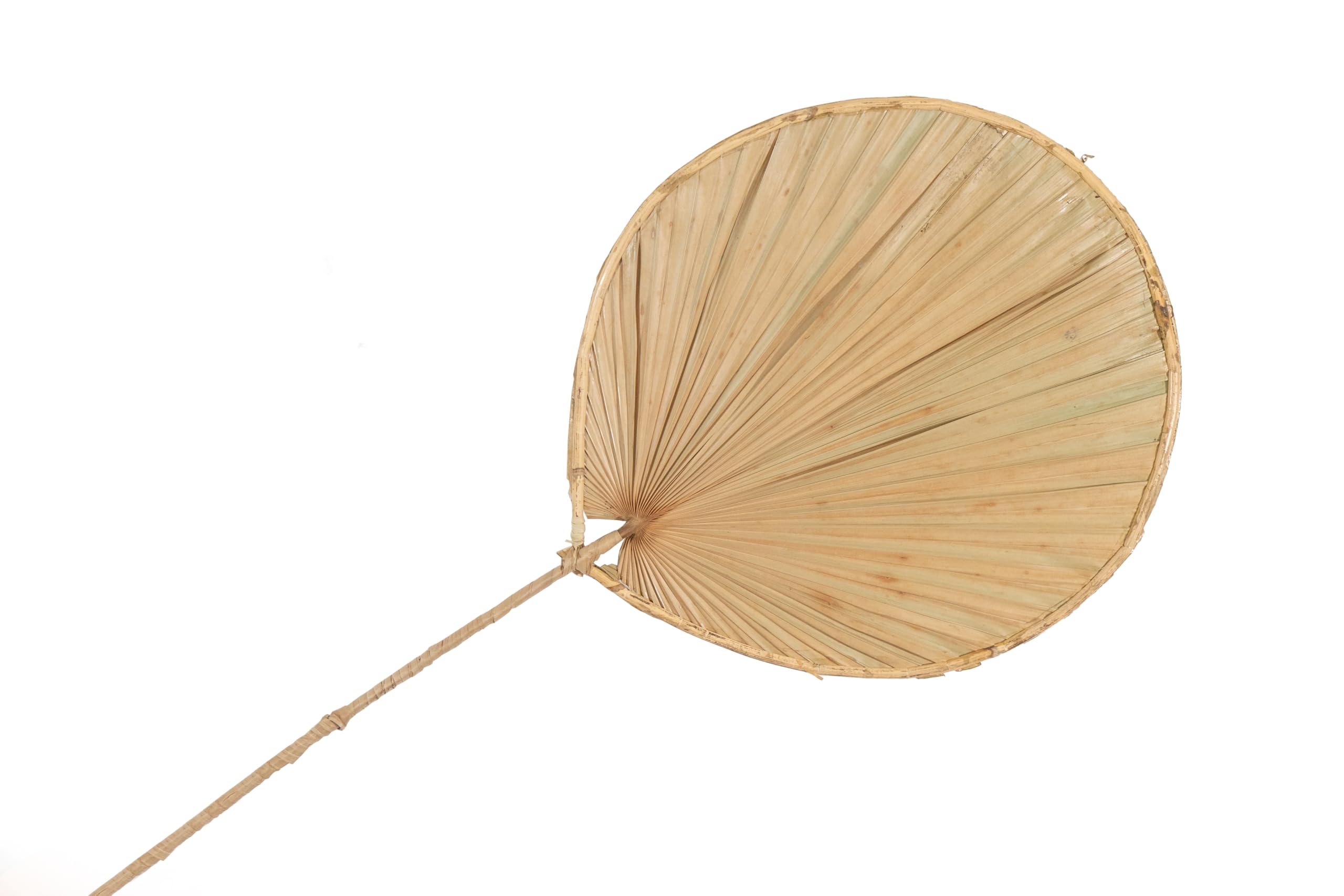 Hoja de palma redda natural élément décoratif haut de gamme en palme véritable