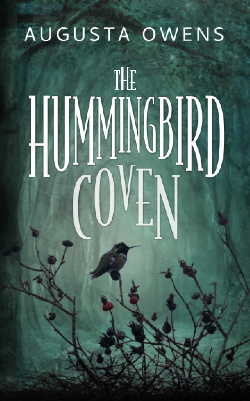 The Hummingbird Coven (The Hummingbird Coven Trilogy)