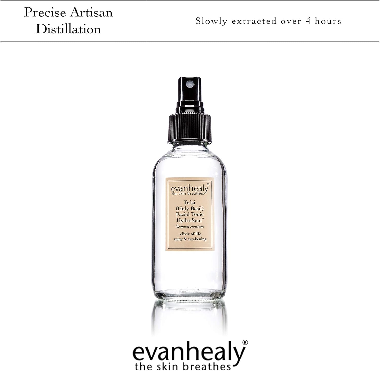 evanhealy Tulsi (Holy Basil) HydroSoul | Copper Distilled Hydrosol | Organic Facial Tonic | Stimulating, Awakening, Purifying Face Toner for All Skin