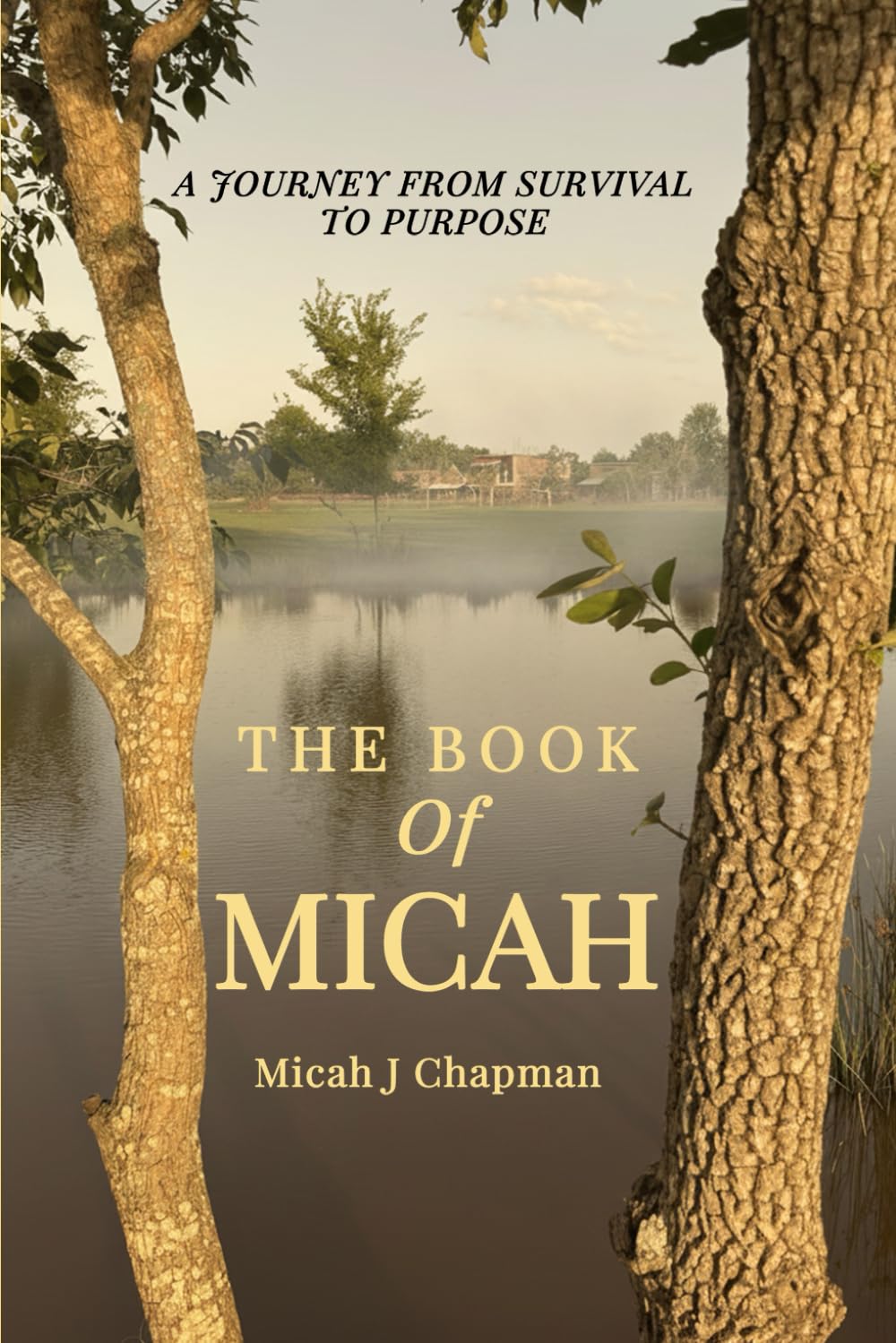 The Book of Micah: A Journey from Survival to Purpose