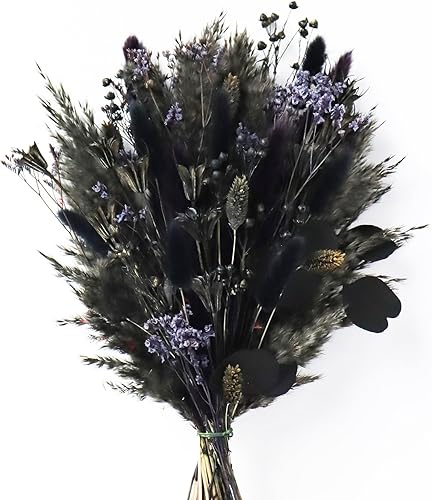 Acfruits Ramo seco natural rojo de la hierba de las pampas, 17 pulgadas rubor rojo hierba de las pampas decoraciĂłn seca arrang Acfruits Ramo seco natural rojo de la hierba de las pampas, 17 pulgadas rubor rojo hierba de las pampas decoraciĂłn seca arrang