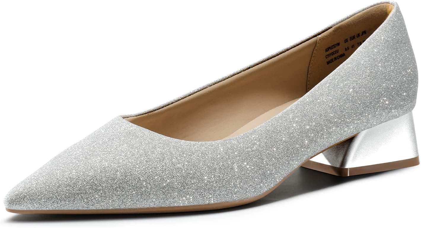 DREAM PAIRS Women's Chunky Heels Closed Toe Low Block Work Shoes Pointed Toe Dress Comfortable Wedding Pumps