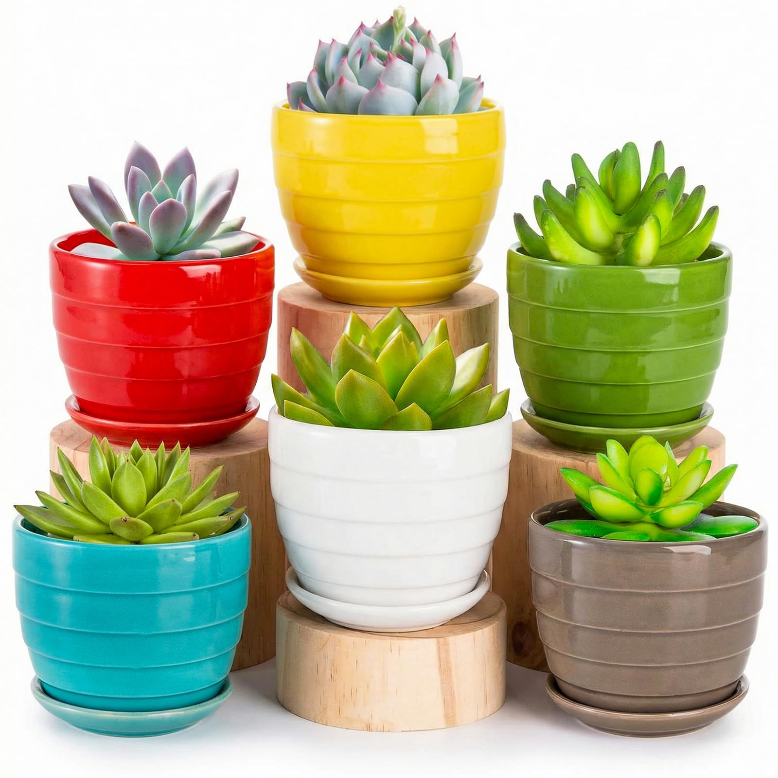 Elsjoy Ceramic Succulent Pots set of 6