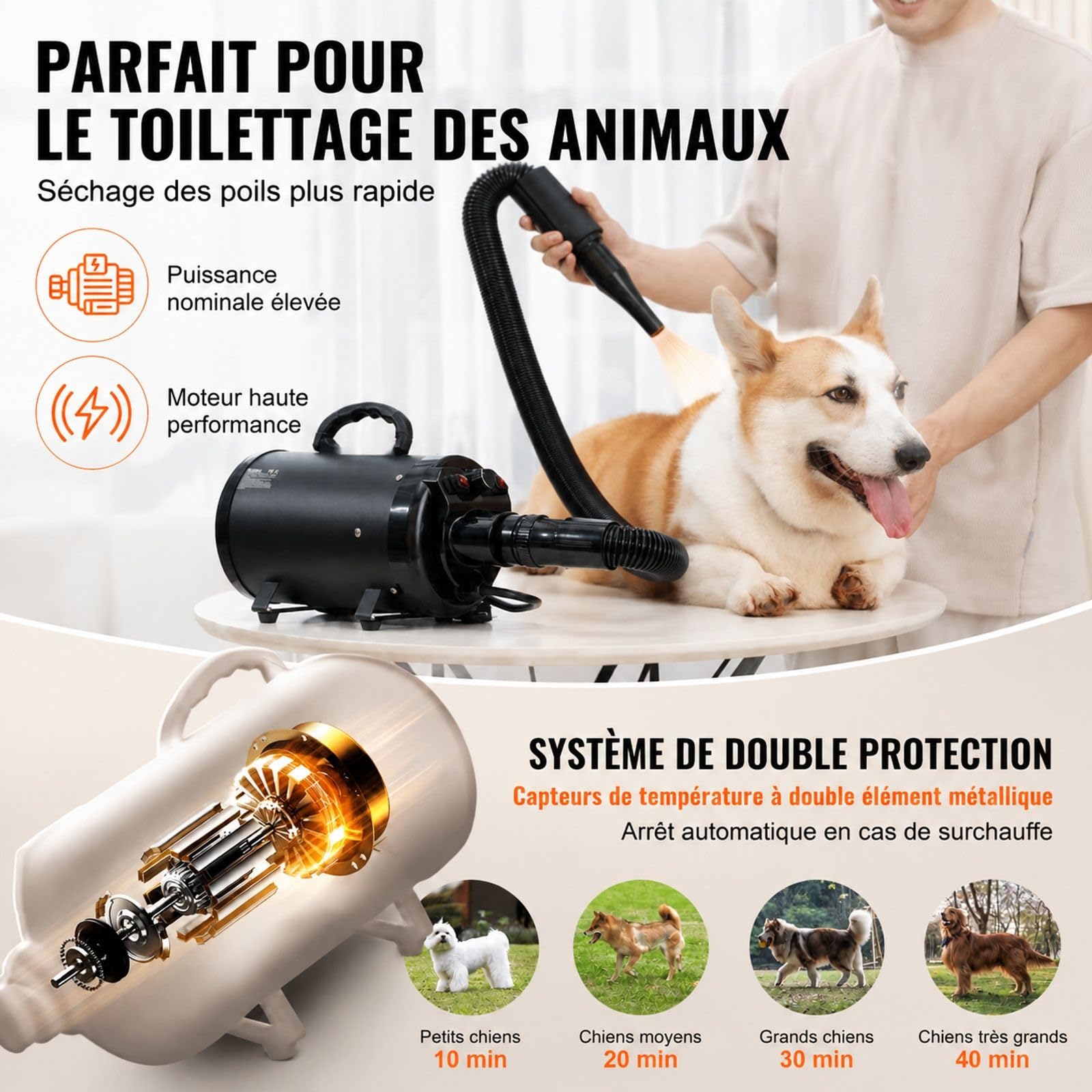 Souffleur séchoir pour chien 2000 W, vitesse d'air 70 m/s réglable, température ajustable, 4 buses, tuyau extensible, toilettage des animaux, noir, fer et ABS