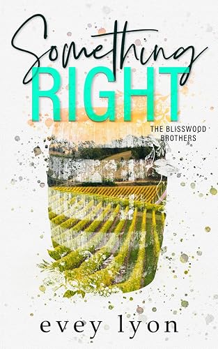 Something Right: A Small Town Second Chance Romance (The Blisswood Brothers, Band 1)