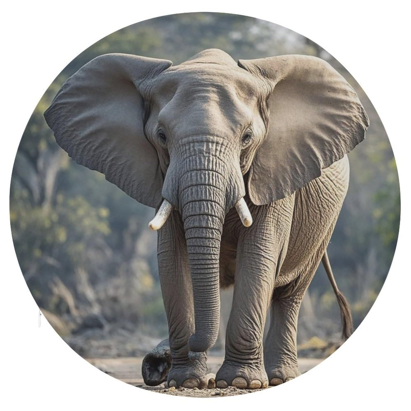 FekiLoot Elephant Seat Cushion Comfort Memory Foam Seat Cushion Chair Pad Soft Round Stool Cushion Chair Cushion Removable Washable Cover for Home Office Outdoor Bistro 15.35 Inch