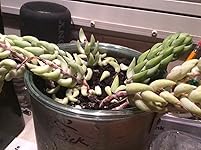 Review Image by Julie R Julie R