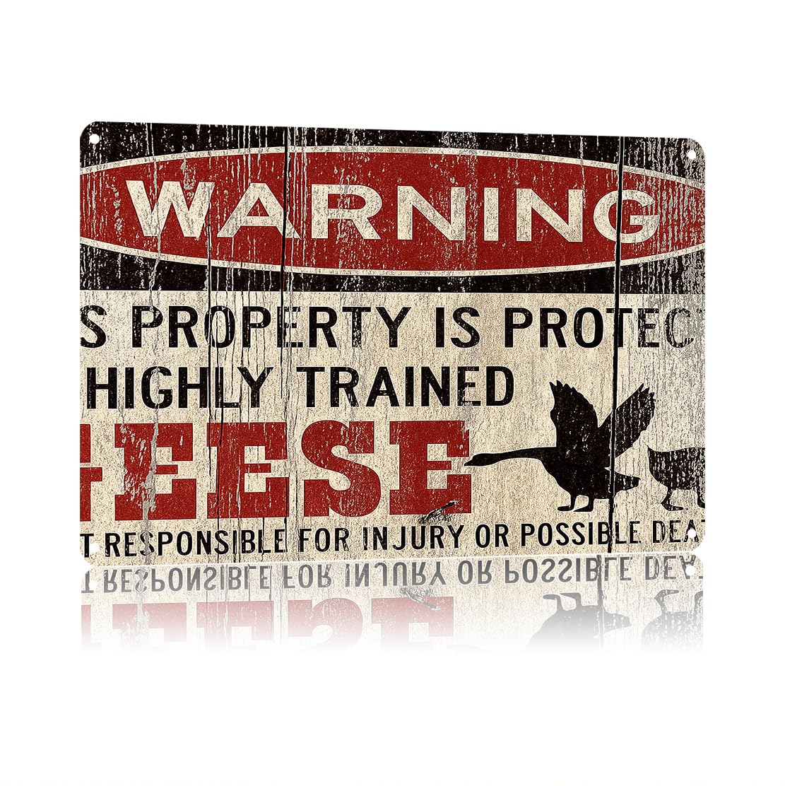 KWQDOZF Funny Metal Signs Posters Funny Geese Sign Wall Art for Yard Outdoor Lawn Garden Home Decor 8X12inch
