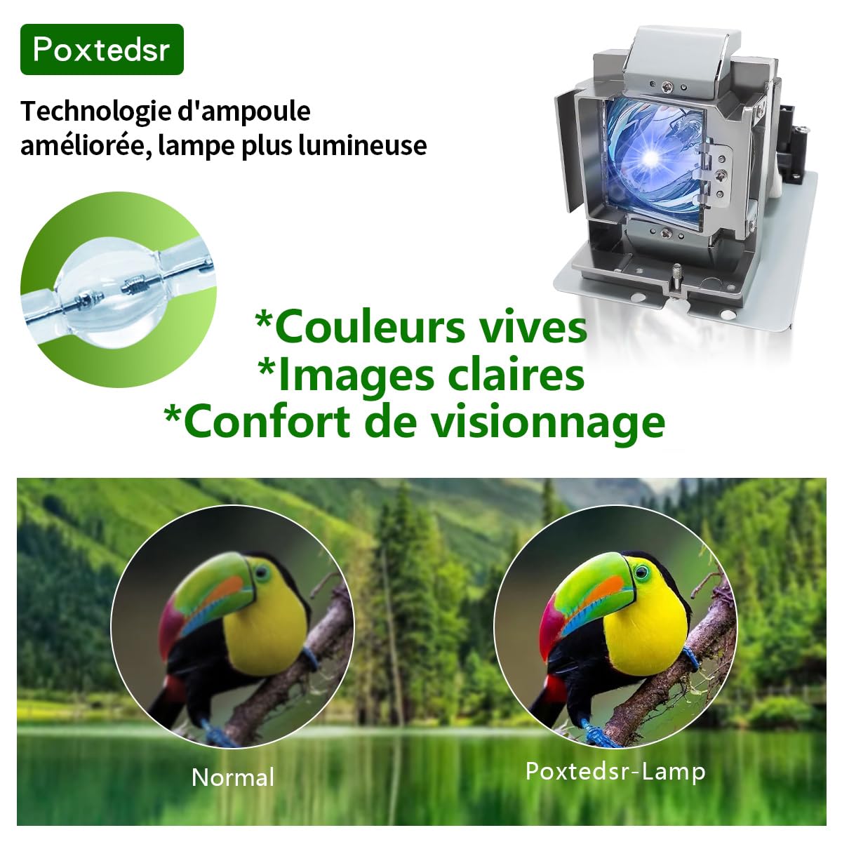 5811118004-SVV Lampada di ricambio per proiettore compatibile con VIVITEK D751ST, D755WT, D755WTiR, D755WTi, D756USTi, D757WT Proiettori