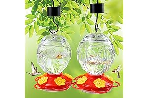 Hummingbird Feeder Glass 2 Pack - Leak-Proof Bird Feeder with Ant Moat