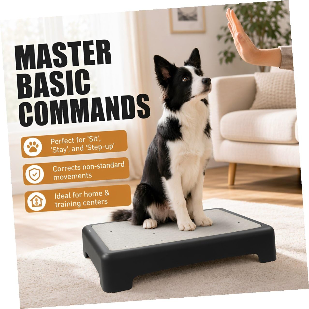 Tofficu Hund Agility Platzbrett für Welpen mit Rutschfester