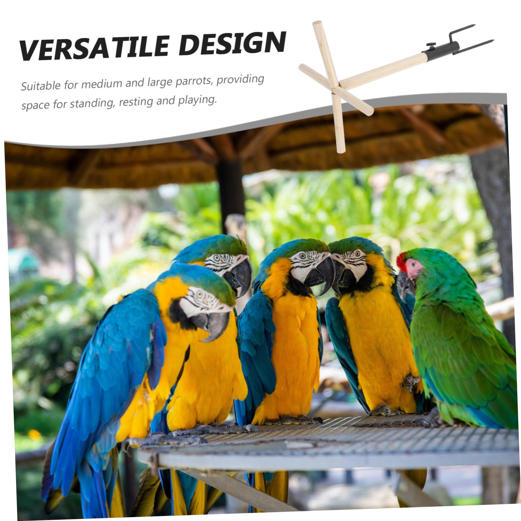 Kisangel Perch De Madera para Aves y Soporte para Entrenamiento De Pollo y Juguete para Mascotas Posadero Exterior para Periquitos y Aves De Mediano