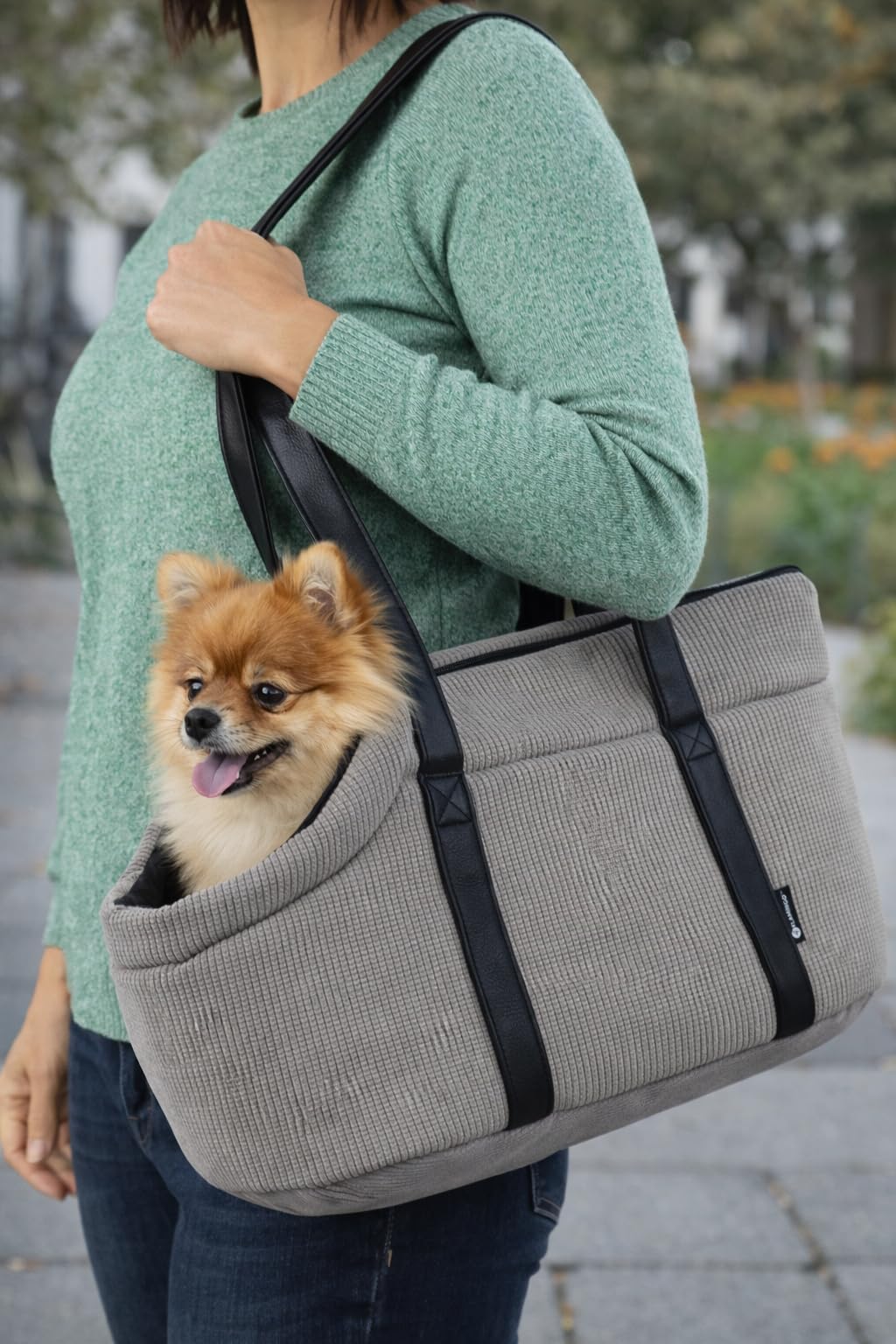 Hundetasche - Tragetasche Aaliyah Grau – 46x23x25cm – Polyester mit Schaum – Abnehmbares Kissen – Sicherheitsleine – Einfach zu reinigen