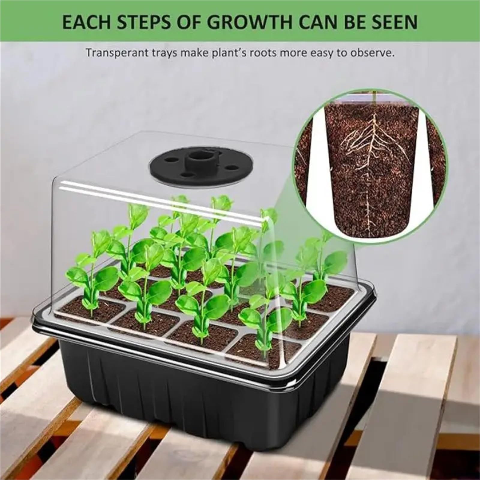 Semillero Bandeja de Inicio Semillas con Luces Cultivo, 2 Kits germinación Mini Invernadero cúpula Humedad Ajustable para Plantas