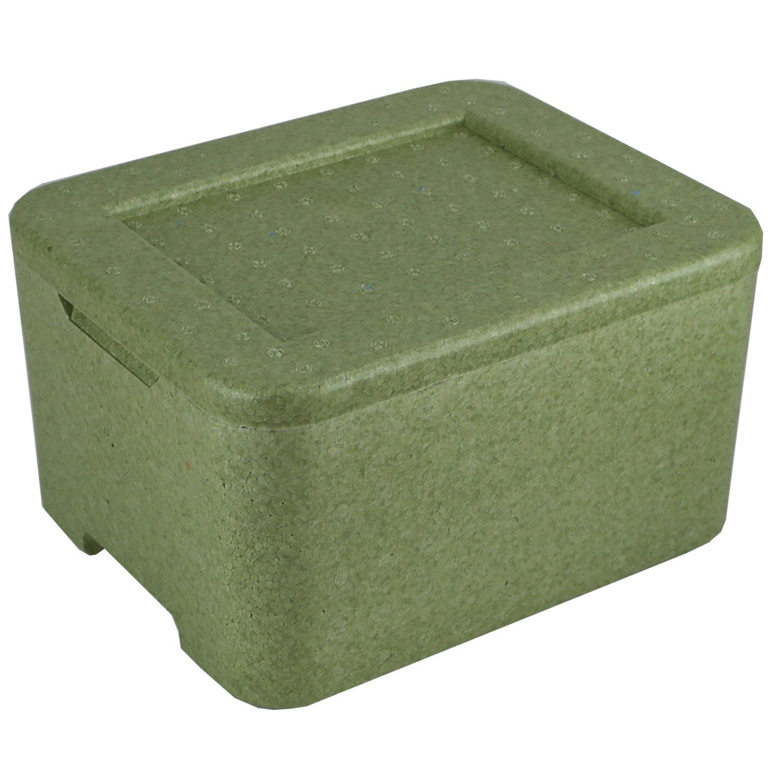 6x W3 Thermobox grün für 3 Menüschalen | Styropor | wiederverwendbar wiederverwendbare MENÜBOX-Transportbehälter für Catering und Lieferdienste