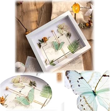 3D Picture Frame 20 x 20 cm Deep Frame for Objects up to 5 cm Object Frame for Filling Square Shape 3D Picture Frame for Objects Photos Artworks Memories Flowers (White)
