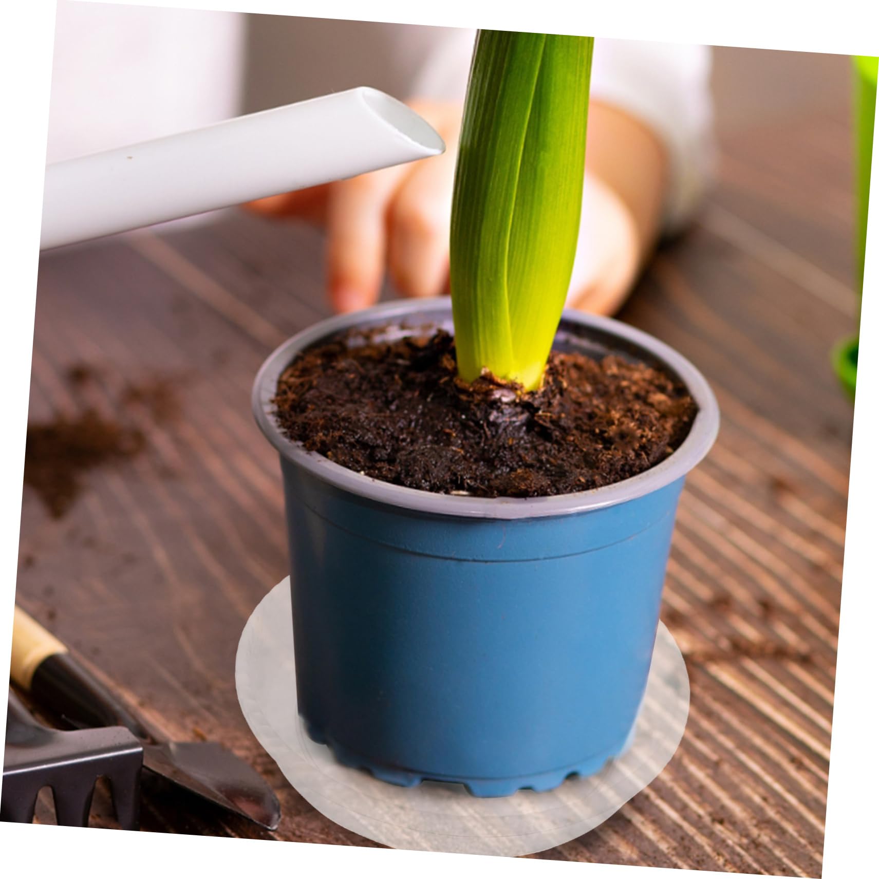 TOYANDONA 20stücke Pflanzenuntersetzer Aus Kunststoff Runde Blumentopfuntersetzer Pflanzentabletts Für Töpfe Pflanzenwassertablett Untertassen Zum Auffangen Von Wasser Und Erde