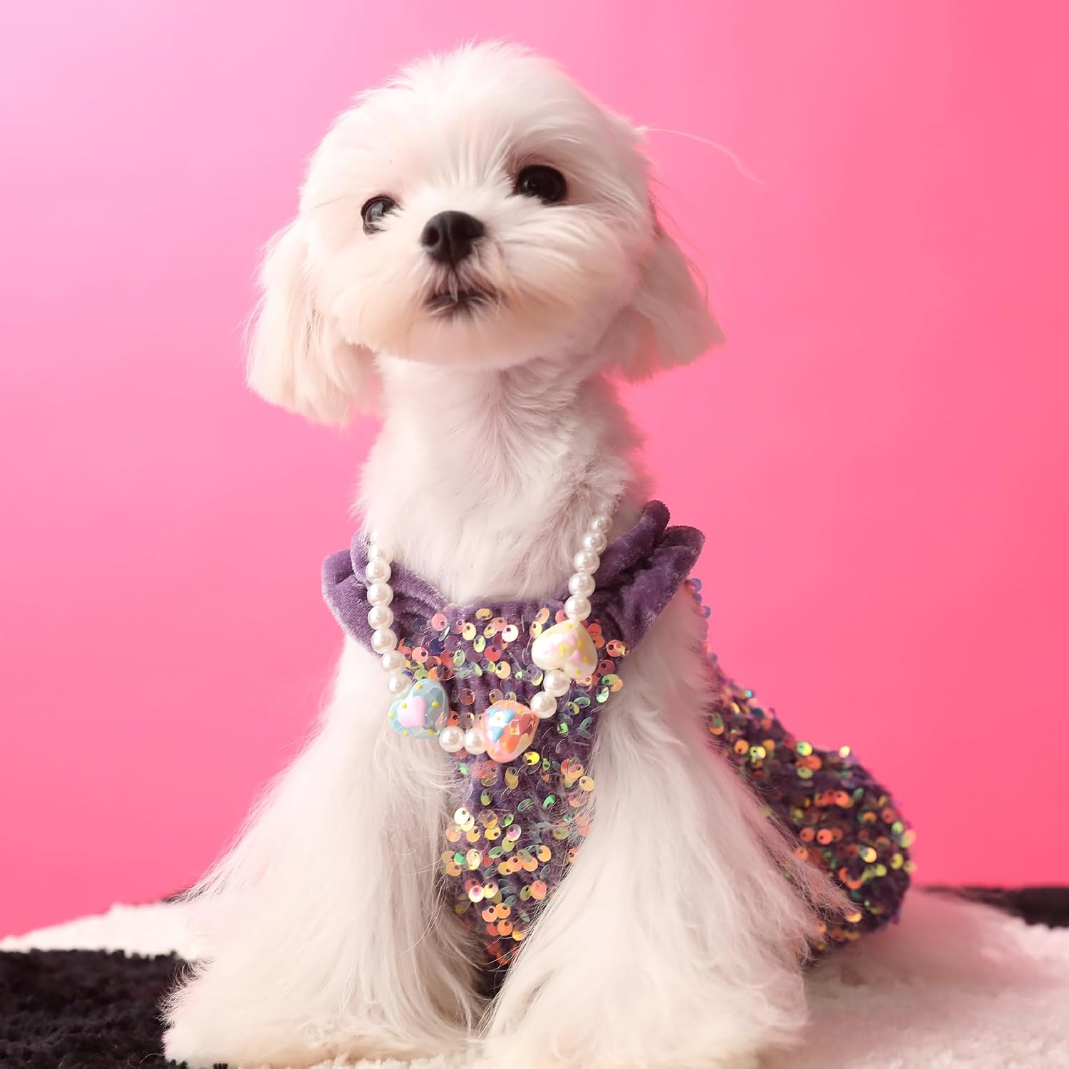 AZA Dog Princess Camisole Dresses Sequin for Small Dogs Clothes Costume Pet Girl Skirt Cat Cute Lace Coat Floral Outfits Summer Costumes Spring (L,Purple Sequin)