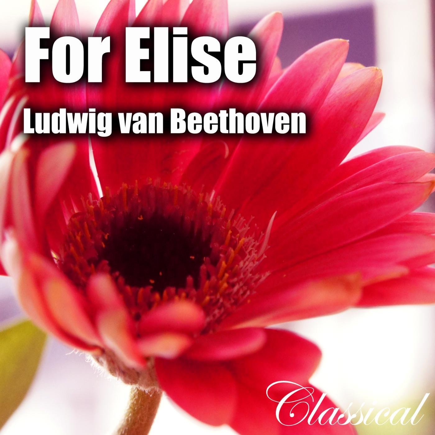 For Elise , Fur Elise [ L. V. Beethoven ]