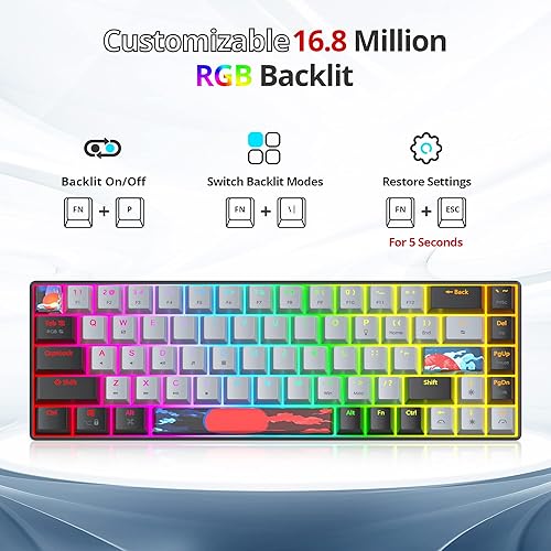 Miniatura 6 de Protable - Teclado mecánico para juegos al 60%, mini compacto RGB retroiluminado 68 teclas, teclado de oficina con cable con interruptor rojo para