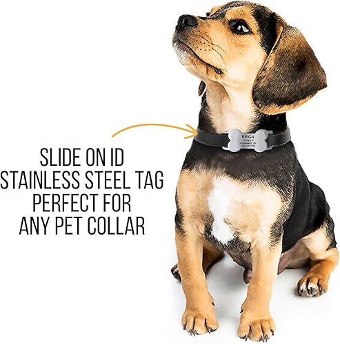 Miniatura 3 de Identificación personalizada para mascotas, placa de identificación de hueso silencioso grabada personalizada para perros y gatos, etiqueta