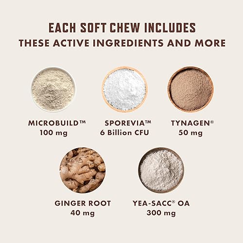 Miniatura 4 de Rocco & Roxie - Probióticos para perros, apoyan la salud intestinal y digestiva, antidiarrea, estreñimiento y alivio de gases, alergias y picazón en