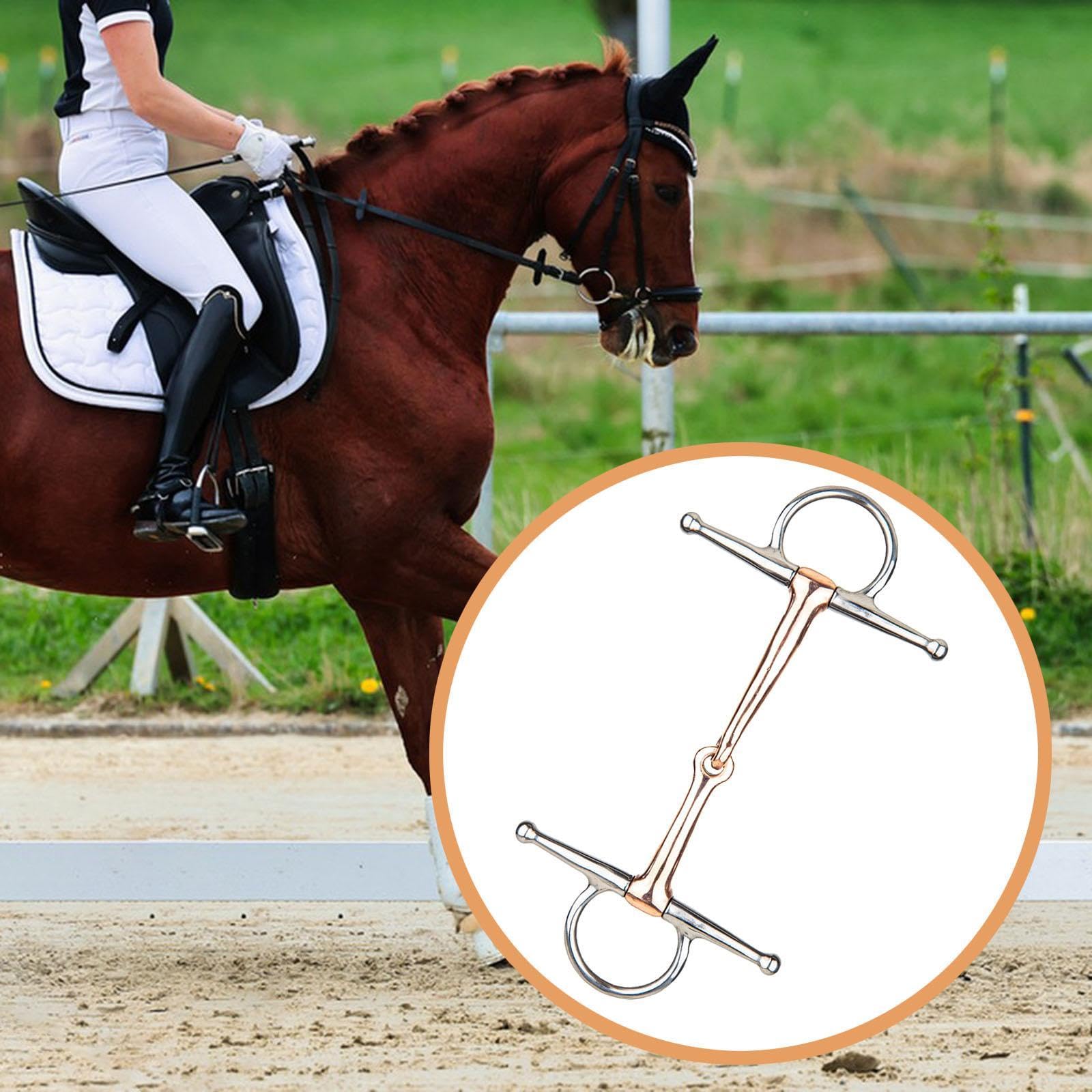 Fenteer Horse bit Snaffle de Metal con Boca Forma H para Caballo Elaborado en Acero Inoxidable Adecuado para Monta Entrenamiento Regalo Decoración14.2cm