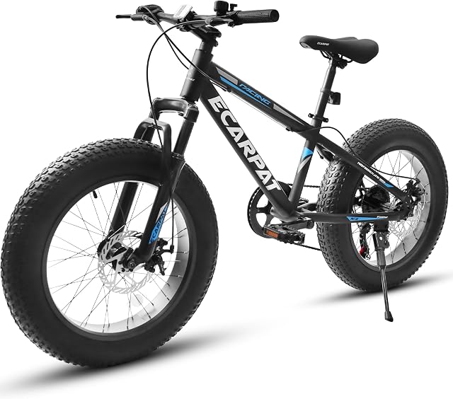 20 Inch Fat Tire Bike for Youth Boys and Girls, Full Shimano 7 Speed Mountain Bike, Dual Disc Brake, High-Carbon Steel Frame, Front Suspension, Mountain Trail Bike, Urban Commuter City Bicycle