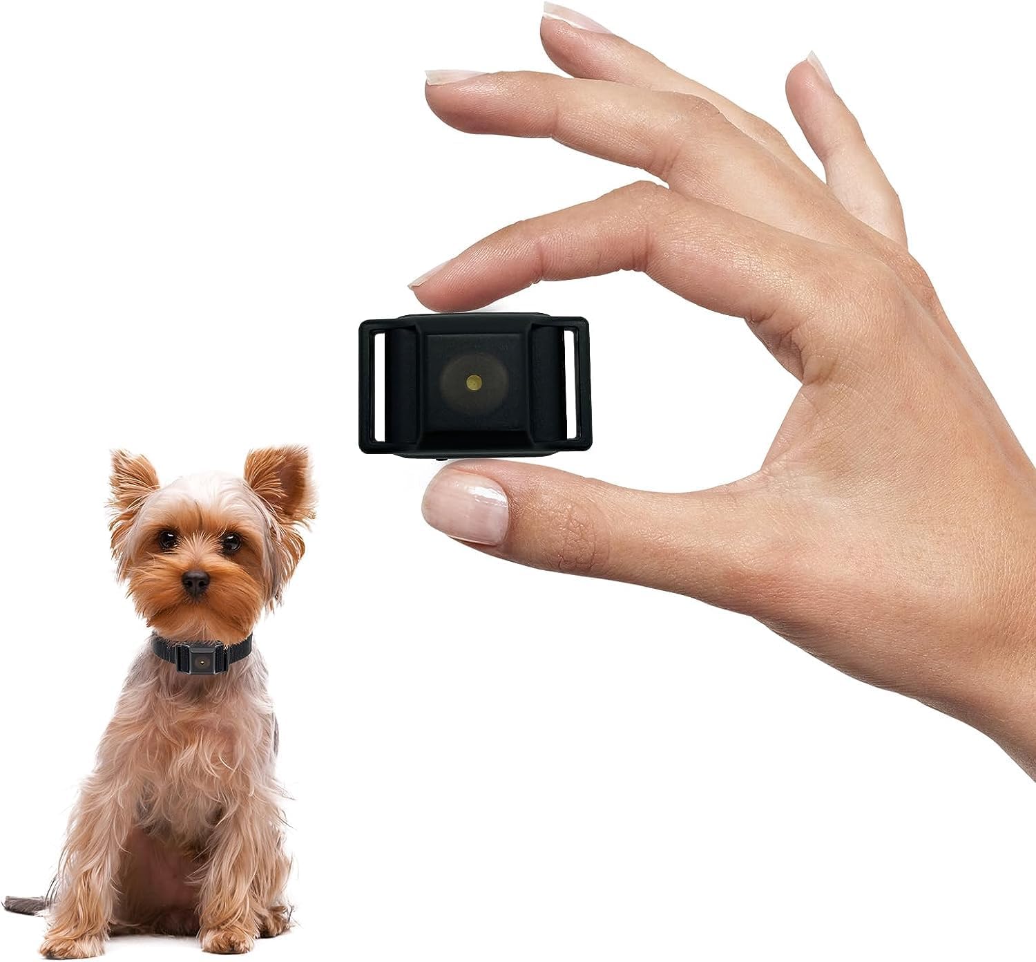 Tiniest Bark Collar for Small Dogs 5-15lbs, Only 1.6 * 1in & 0.42oz, No Shock with Vibration &Sound, Extra Small & Rechargeable, 5 Sensitivity Levels?Black?