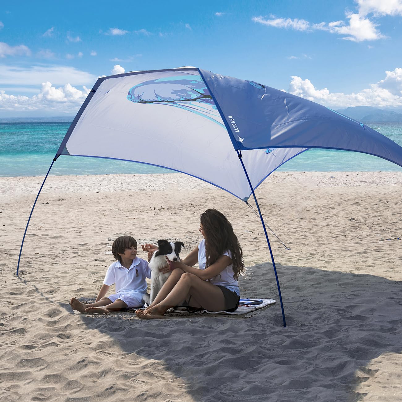 Amazon.com: ALYCASO Beach Wind-Powered Shade Canopy  display picture 3