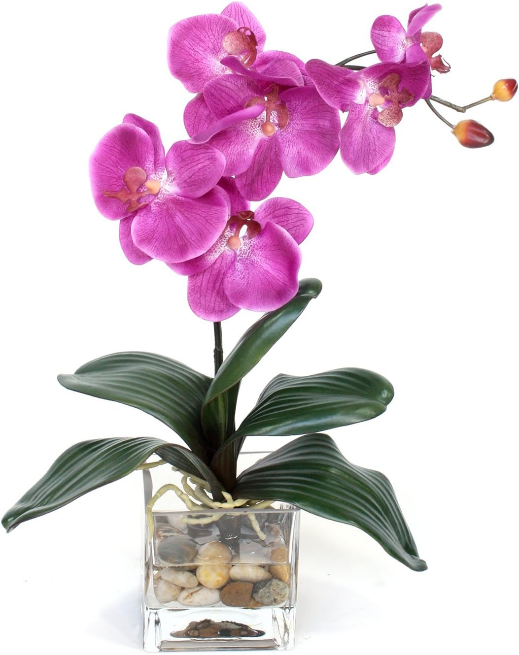 Dalmarko Designs CO140 Fuschia Orchid in Glass Vase