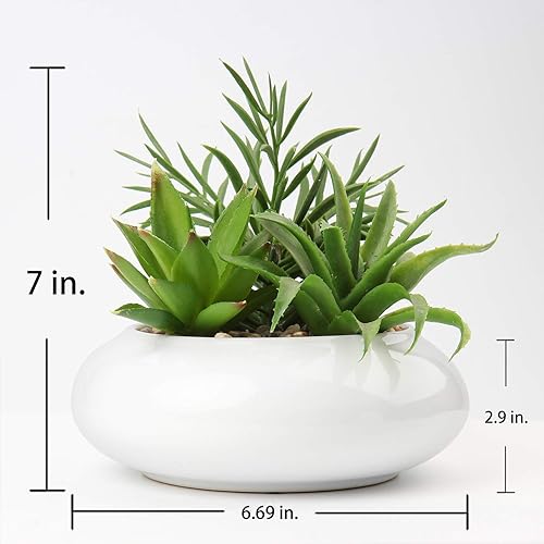 Miniatura 2 de Hollyone Plantas suculentas artificiales grandes en macetas, plantas suculentas falsas de plástico en maceta con maceta de cerámica blanca para 1