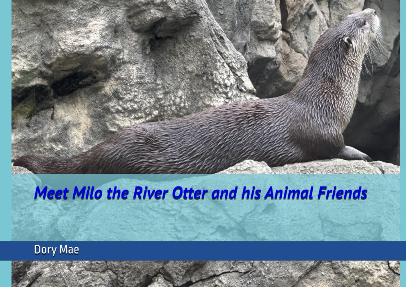 Meet Milo the River Otter and his Animal Friends
